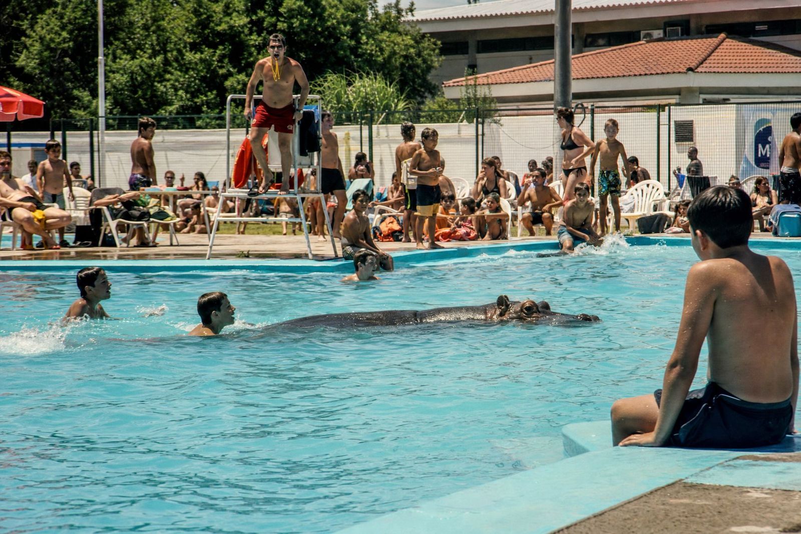 Fotografía de la serie Pasó hoy: pileta municipal · enero, 34 °C